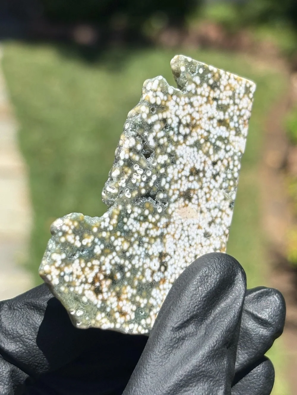 Ocean Jasper Crystal Slab - Orbicular Jasper - Polished Sea Jasper